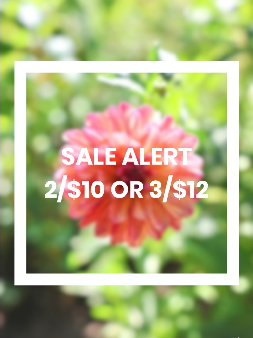 Closet Sale! Steep Discounts!